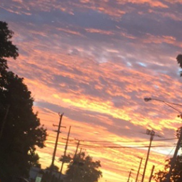 Meet your Posher, Lauren - Picture 1 of 1